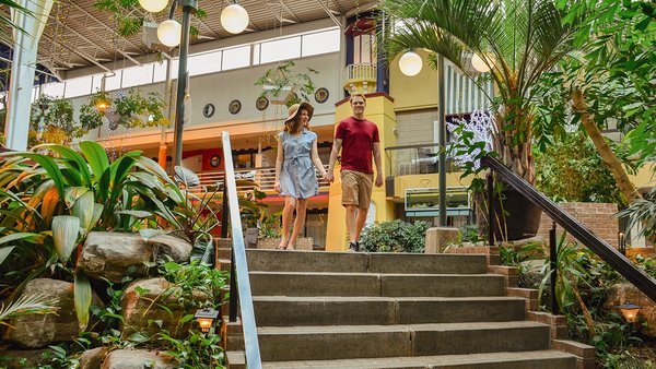 Un couple descendant un escalier entouré de plantes tropicales dans l’espace intérieur lumineux de l’Hôtel Québec Inn, avec des décorations et un environnement chaleureux en arrière-plan.