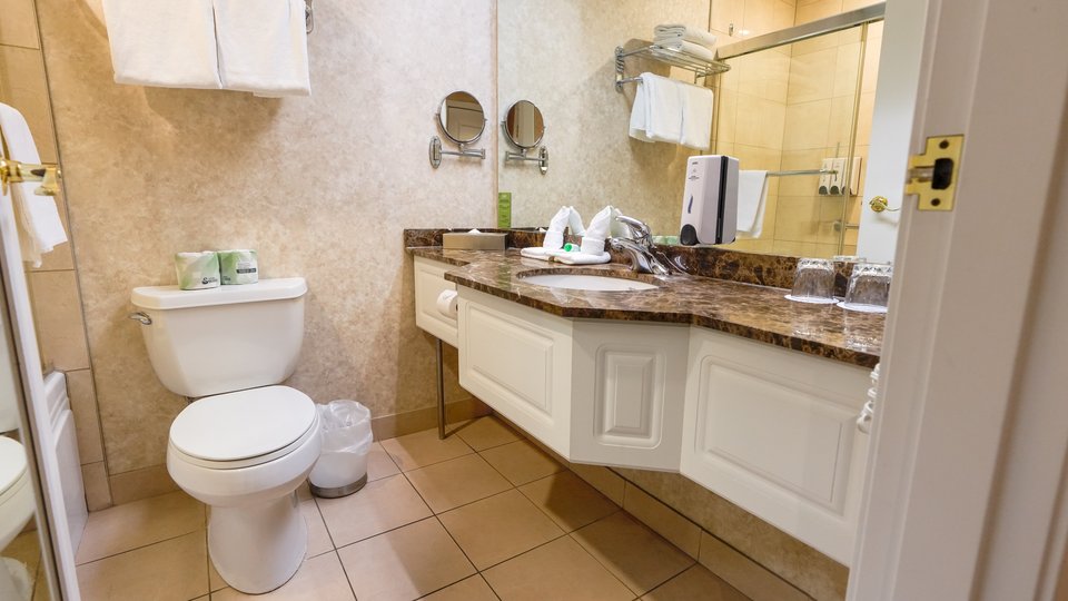 Salle de bain spacieuse avec douche, toilettes et lavabo, offrant un espace fonctionnel et élégant