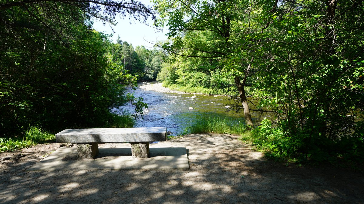 Parc Chauveau Banc en pierre invitant au repos au bord de la rivière, au milieu de la verdure du parc Chauveau,