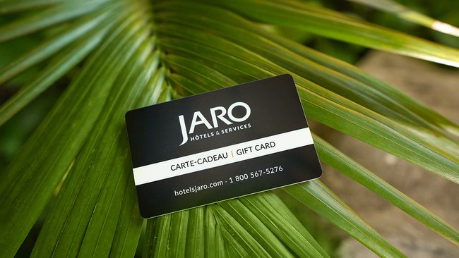 Carte cadeau JARO tenue par une main