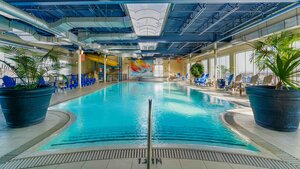 Indoor pool at Hotel Must, surrounded by large potted plants, with a modern ceiling and bright relaxation areas.