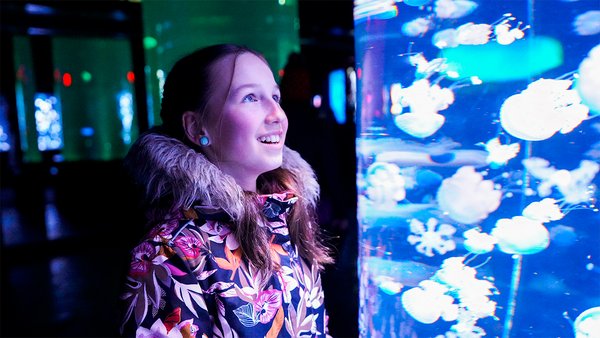 Les enfants s'émerveillent devant les poissons