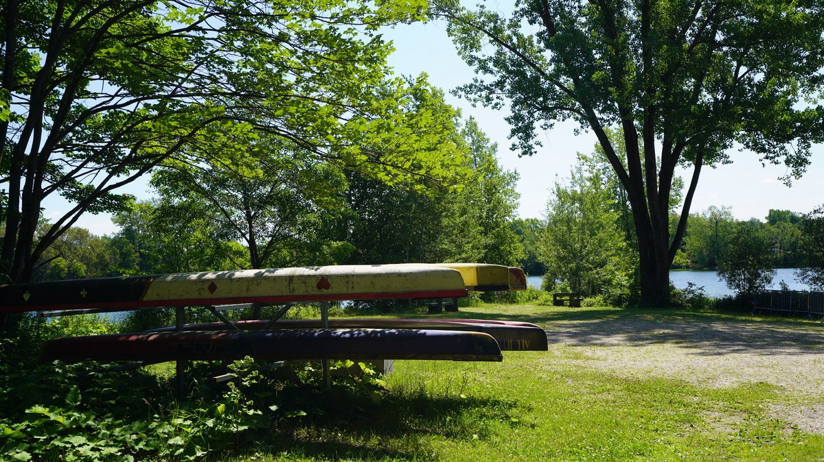 Base de Plein Air Sainte-Foy Rangée de canoës colorés entreposés à l'ombre des arbres, avec un aperçu du lac paisible de la Base de Plein-Air de Sainte-Foy, invitant à l'aventure nautique en pleine nature.
